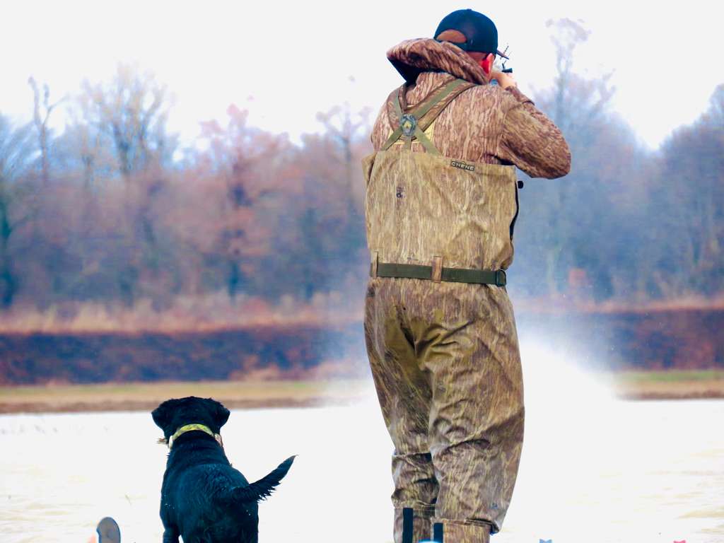 The Mississippi River Bottoms
