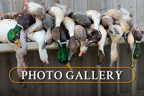 Photo Gallery Photo Gallery