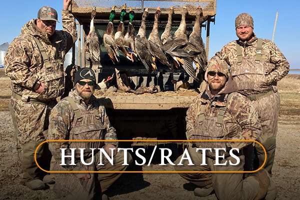Hunts/Rates Hunts/Rates